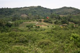 Farm outside of Coronado in Penenome, Panama – Best Places In The World To Retire – International Living